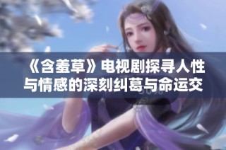 《含羞草》电视剧探寻人性与情感的深刻纠葛与命运交织