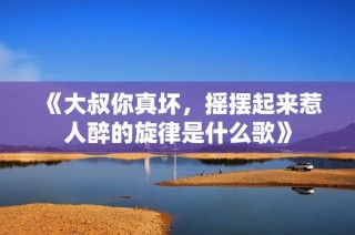 《大叔你真坏，摇摆起来惹人醉的旋律是什么歌》