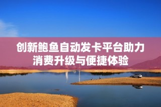 创新鲍鱼自动发卡平台助力消费升级与便捷体验