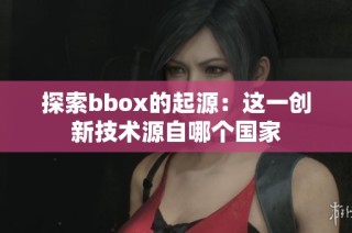 探索bbox的起源：这一创新技术源自哪个国家
