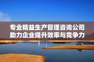 专业精益生产管理咨询公司助力企业提升效率与竞争力