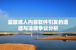 盗版成人内容软件引发的道德与法律争议分析