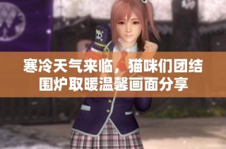 寒冷天气来临，猫咪们团结围炉取暖温馨画面分享