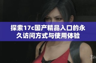 探索17c国产精品入口的永久访问方式与使用体验
