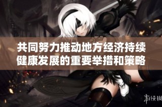 共同努力推动地方经济持续健康发展的重要举措和策略分析