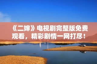 《二婶》电视剧完整版免费观看，精彩剧情一网打尽！