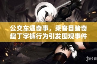 公交车遇奇事，乘客目睹奇趣丁字裤行为引发围观事件
