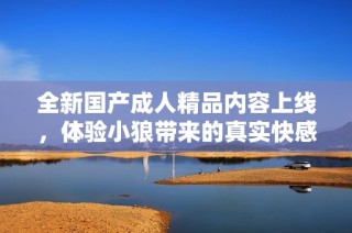 全新国产成人精品内容上线，体验小狼带来的真实快感
