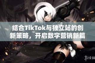 结合TikTok与独立站的创新策略，开启数字营销新篇章