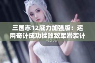 三国志12威力加强版：运用奇计成功挫败敌军潜袭计划