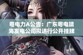 粤电力A公告：广东粤电靖海发电公司拟进行公开挂牌交易计划解析