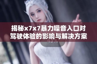 揭秘x7x7暴力噪音入口对驾驶体验的影响与解决方案