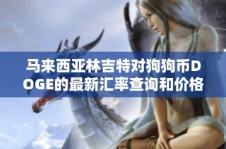 马来西亚林吉特对狗狗币DOGE的最新汇率查询和价格更新