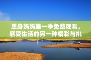 单身妈妈第一季免费观看，感受生活的另一种精彩与挑战