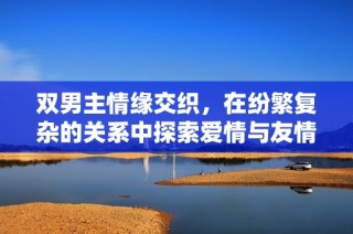 双男主情缘交织，在纷繁复杂的关系中探索爱情与友情的真谛