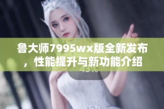 鲁大师7995wx版全新发布，性能提升与新功能介绍