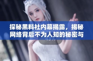 探秘黑料社内幕揭露，揭秘网络背后不为人知的秘密与真相