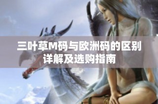三叶草M码与欧洲码的区别详解及选购指南