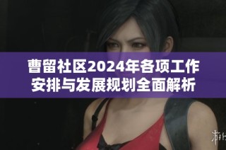 曹留社区2024年各项工作安排与发展规划全面解析