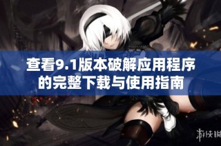 查看9.1版本破解应用程序的完整下载与使用指南