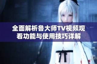 全面解析鲁大师TV视频观看功能与使用技巧详解
