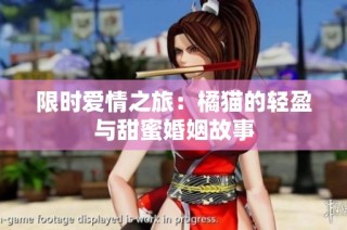 限时爱情之旅：橘猫的轻盈与甜蜜婚姻故事