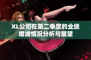 XL公司在第二季度的业绩增减情况分析与展望
