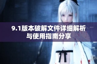 9.1版本破解文件详细解析与使用指南分享