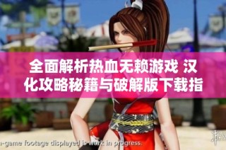 全面解析热血无赖游戏 汉化攻略秘籍与破解版下载指南
