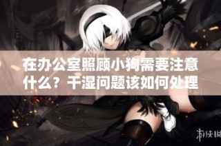 在办公室照顾小狗需要注意什么？干湿问题该如何处理