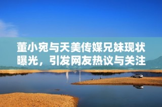 董小宛与天美传媒兄妹现状曝光，引发网友热议与关注