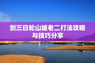 剑三日轮山城老二打法攻略与技巧分享