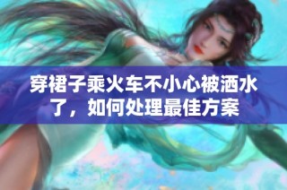 穿裙子乘火车不小心被洒水了，如何处理最佳方案