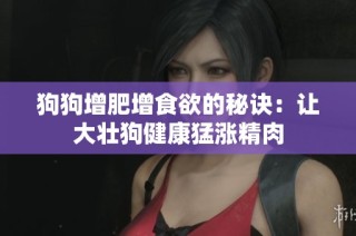 狗狗增肥增食欲的秘诀：让大壮狗健康猛涨精肉