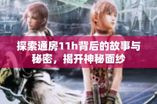 探索通房11h背后的故事与秘密，揭开神秘面纱