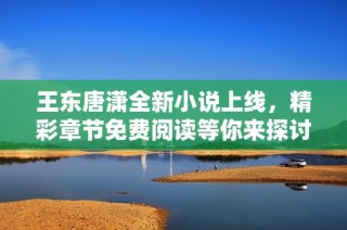 王东唐潇全新小说上线，精彩章节免费阅读等你来探讨