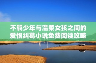 不羁少年与温柔女孩之间的爱恨纠葛小说免费阅读攻略