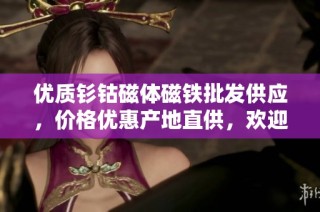 优质钐钴磁体磁铁批发供应，价格优惠产地直供，欢迎咨询采购
