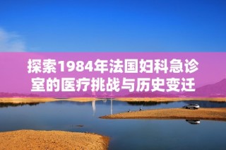 探索1984年法国妇科急诊室的医疗挑战与历史变迁