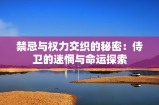 禁忌与权力交织的秘密：侍卫的迷惘与命运探索