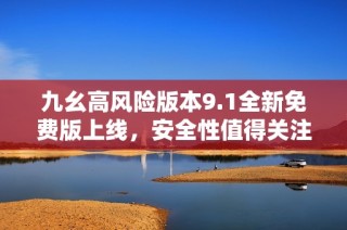 九幺高风险版本9.1全新免费版上线，安全性值得关注