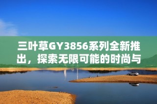 三叶草GY3856系列全新推出，探索无限可能的时尚与舒适结合