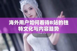 海外用户如何看待B站的独特文化与内容趋势