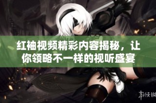 红袖视频精彩内容揭秘，让你领略不一样的视听盛宴