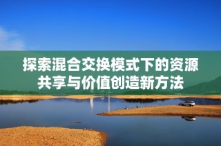 探索混合交换模式下的资源共享与价值创造新方法