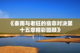 《秦雨与老旺的宿命对决第十五章精彩回顾》