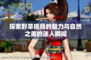 探索野草视频的魅力与自然之美的迷人瞬间