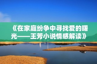 《在家庭纷争中寻找爱的曙光——王芳小说情感解读》