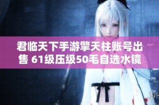 君临天下手游擎天柱账号出售 61级压级50毛自选水镜详细信息