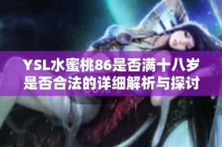 YSL水蜜桃86是否满十八岁是否合法的详细解析与探讨